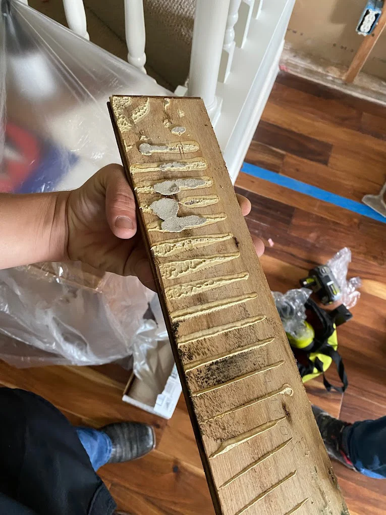 mold-remediation-removal-experts mold remediation and removal experts